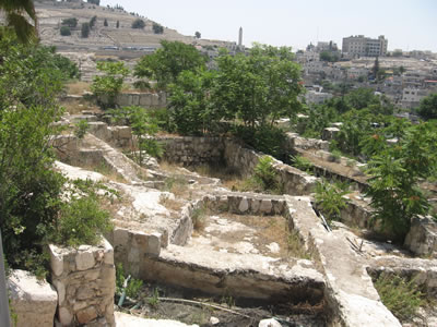 mikva, mikvah