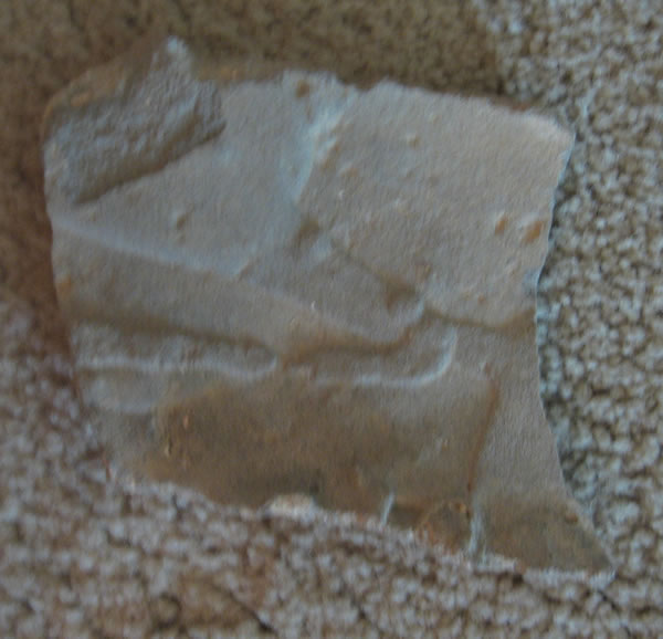 An image of a horse (front legs visible) carved into stone and used as decorative overlay. Picked up in Avdat.