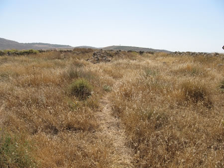 We have now walked through the gate and into the outer court of the tabernacle. I am standing near the altar of burnt offering and looking towards the tabernacle tent. The ark of the covenant would have sat in the back of the tent near the back (west) wall that we can see here.